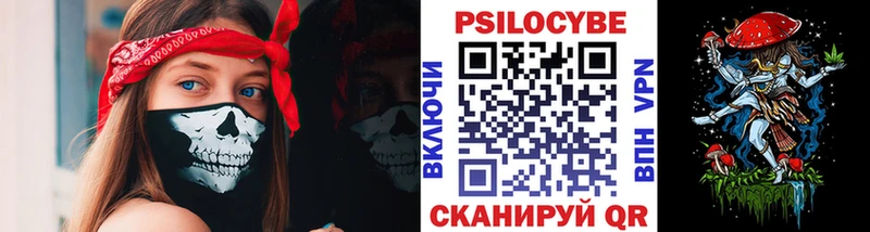 mega маркетплейс  Бердск  Галлюциногенные грибы прущие грибы 
