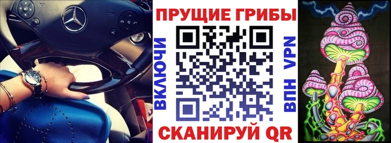 Псилоцибиновые грибы Psilocybe Бердск